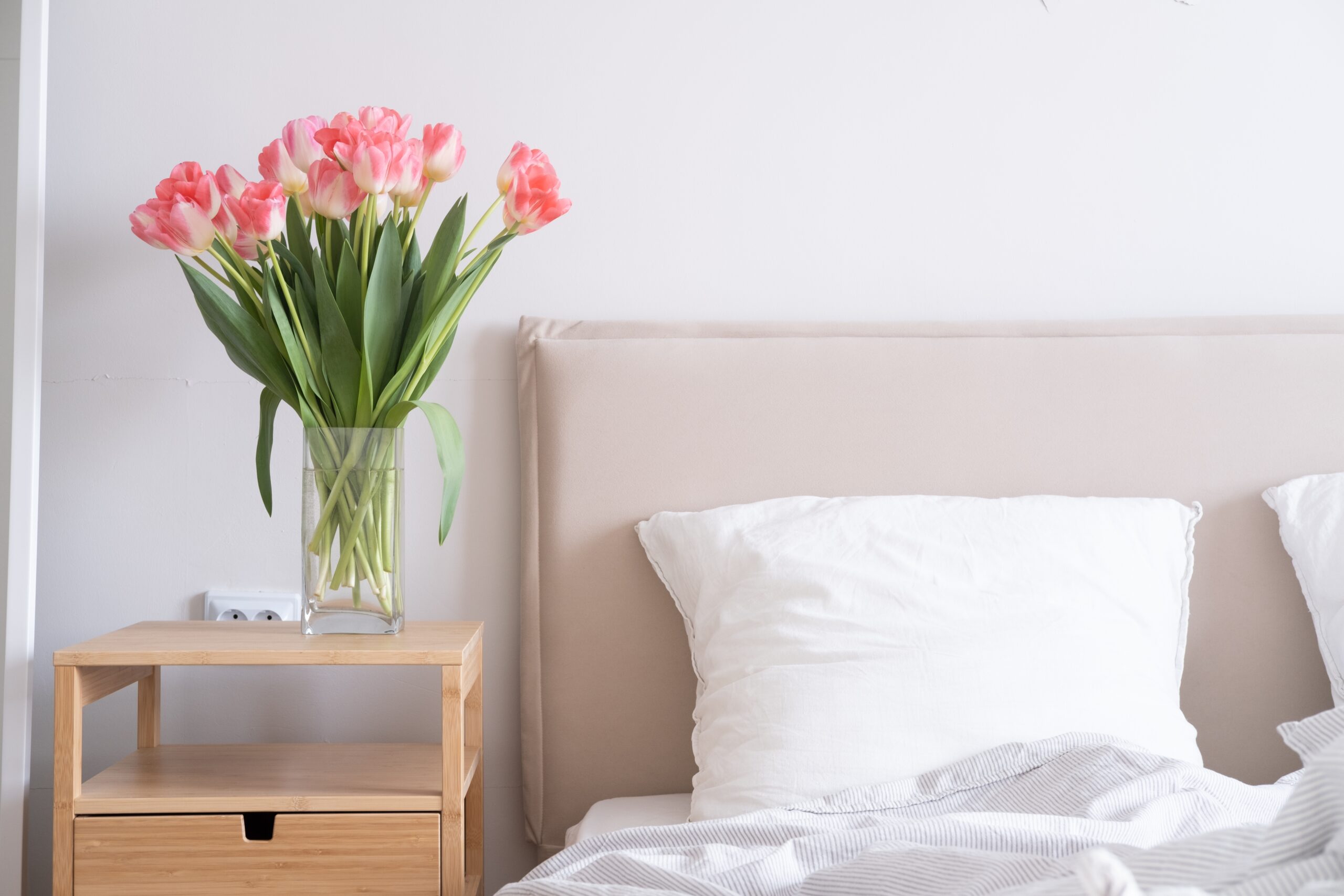 Organizing for the Tampa Area Services and Lifestyle Management